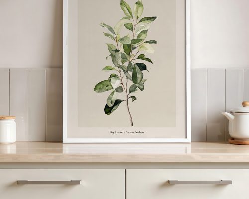 Alternative view of Bay Laurel Print Botanical Wall Art Poster